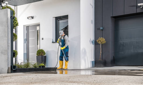 Best Sidewalk and Walkway Cleaning  in Hartford, IL